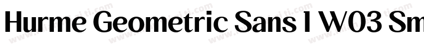 Hurme Geometric Sans 1 W03 SmBd字体转换